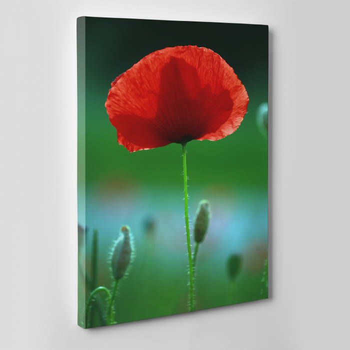 Tablou canvas floral, Red Spot [5]