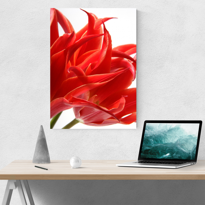 Tablou canvas floral, Red Tulips [2]