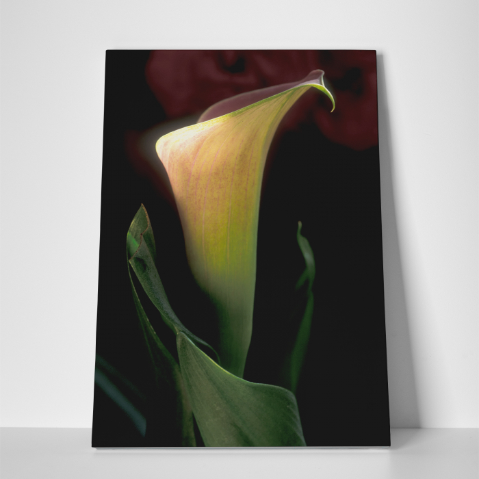 Tablou canvas floral, Silent Floral [3]