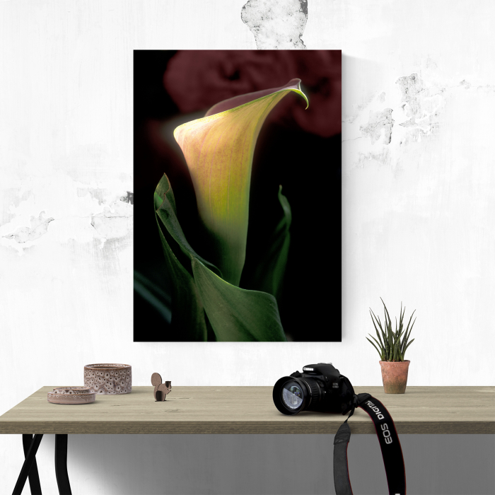 Tablou canvas floral, Silent Floral [4]