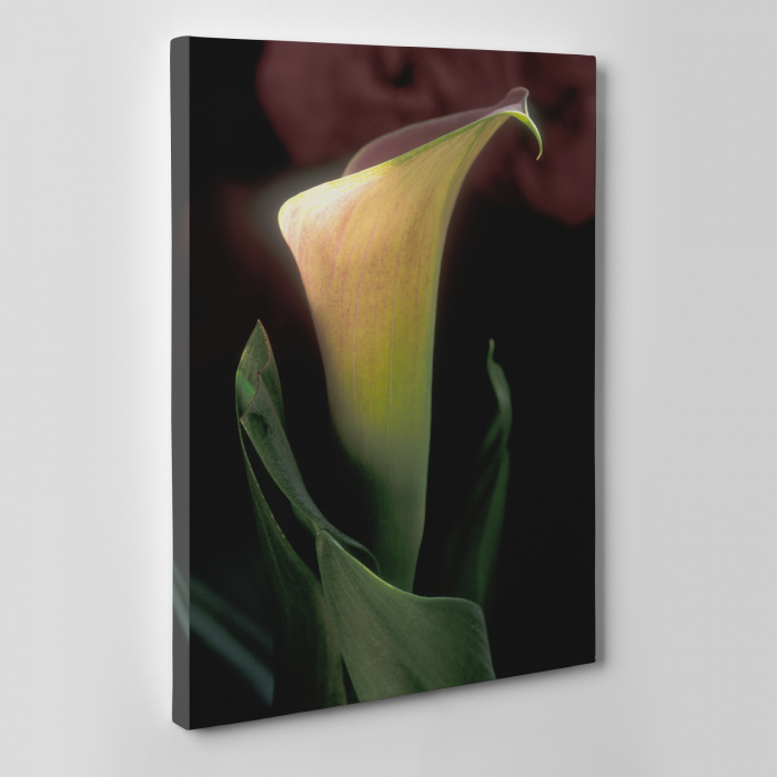 Tablou canvas floral, Silent Floral [2]