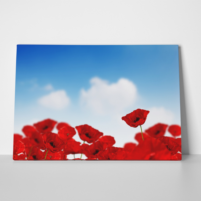 Tablou canvas floral, Sky and Poppies [2]