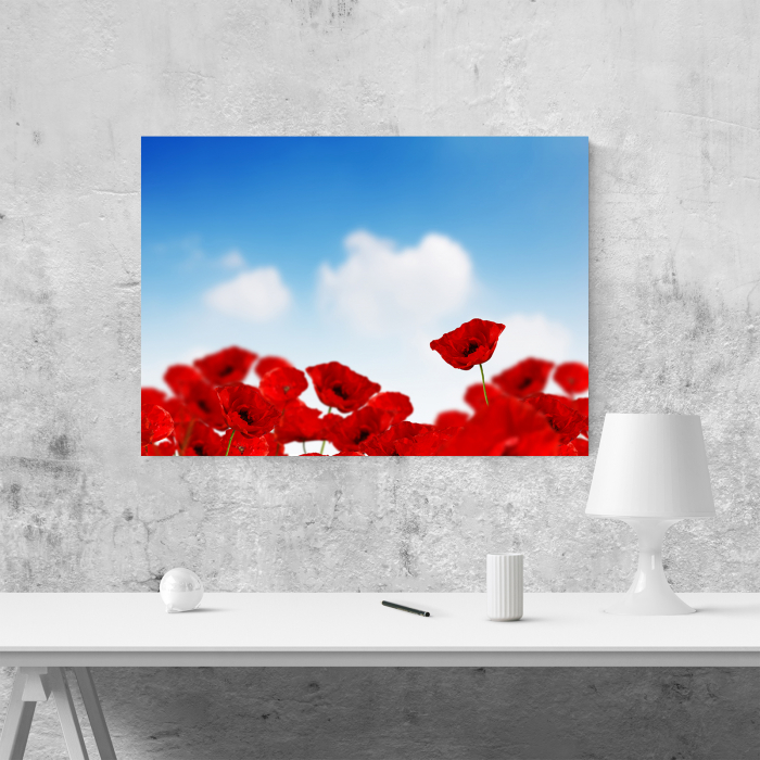 Tablou canvas floral, Sky and Poppies [4]