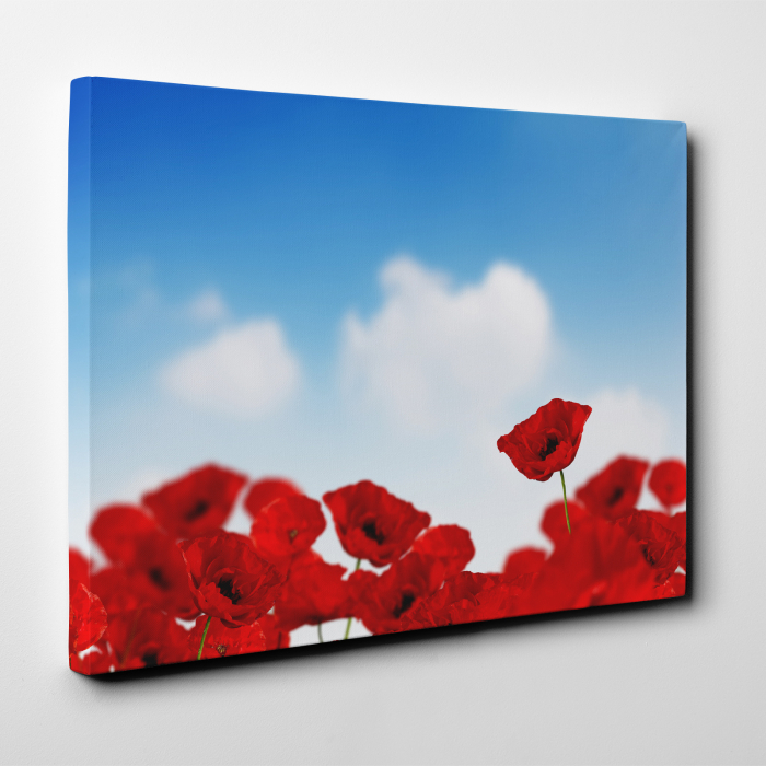 Tablou canvas floral, Sky and Poppies [3]