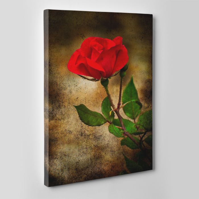 Tablou canvas floral, Vintage Rose [5]