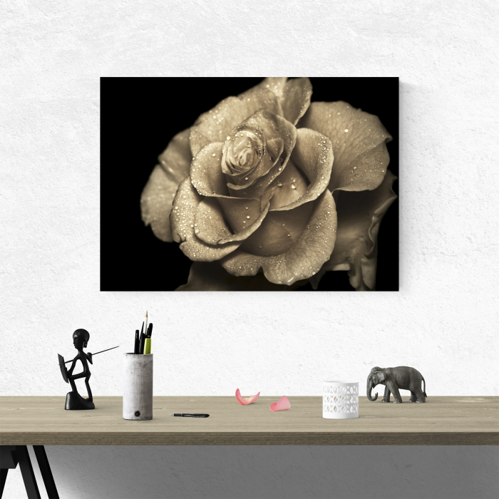 Tablou canvas floral, Vintage Rose in Rain [2]