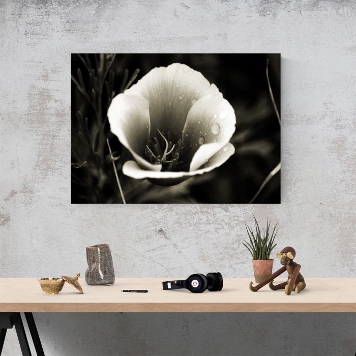Tablou canvas floral, Water Drops on Flower [4]