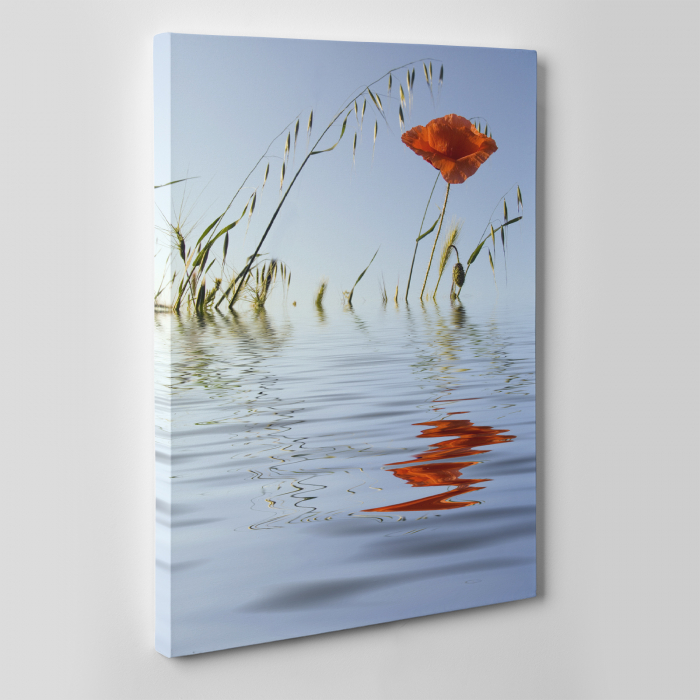 Tablou canvas floral, Water Reflections [4]