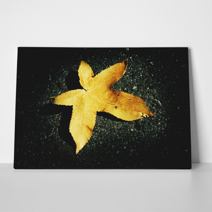 Tablou canvas floral, Yellow Leaf on Black [3]