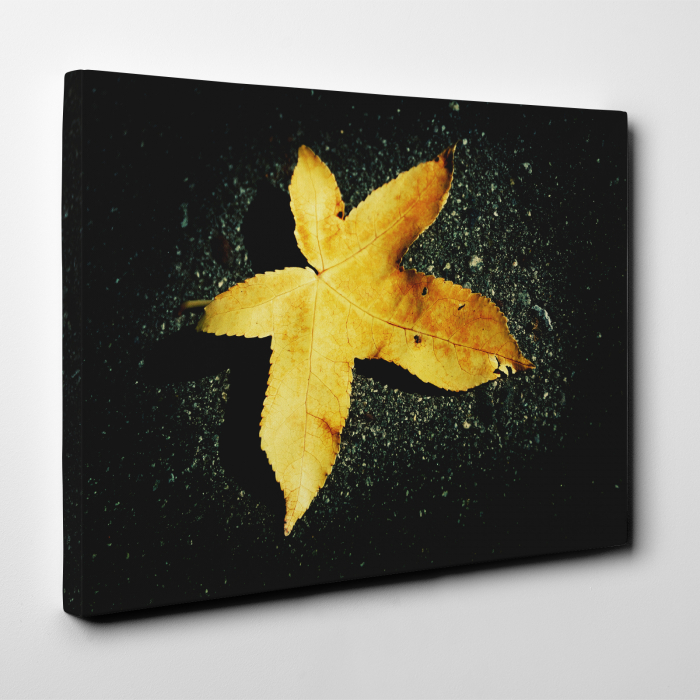 Tablou canvas floral, Yellow Leaf on Black [4]