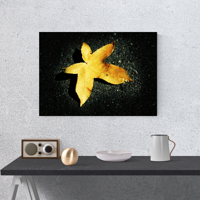 Tablou canvas floral, Yellow Leaf on Black [2]