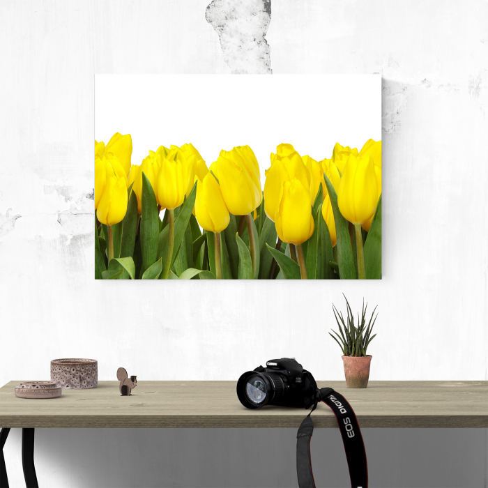 Tablou canvas floral, Yellow Tulips [2]
