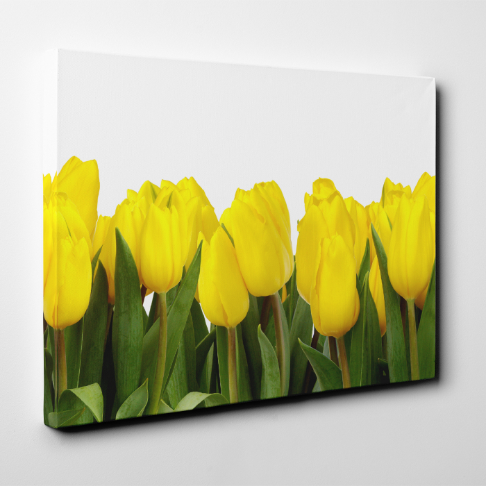 Tablou canvas floral, Yellow Tulips [4]