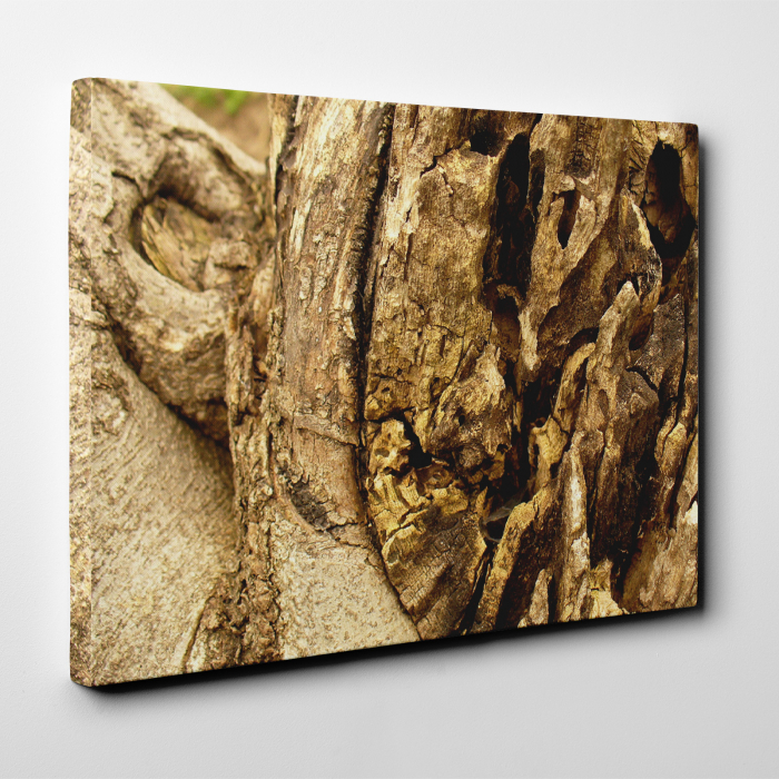 Tablou canvas natura, Aged Wood [2]