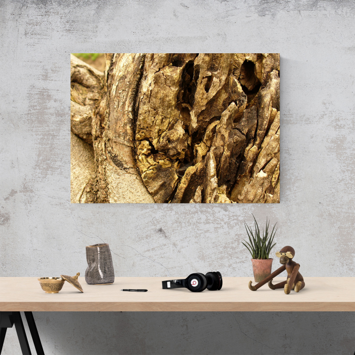 Tablou canvas natura, Aged Wood [4]