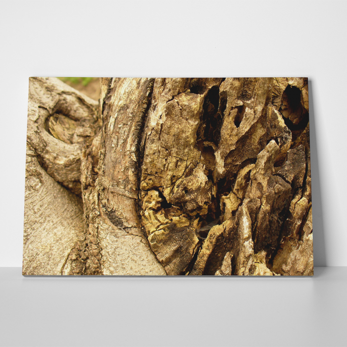 Tablou canvas natura, Aged Wood [3]