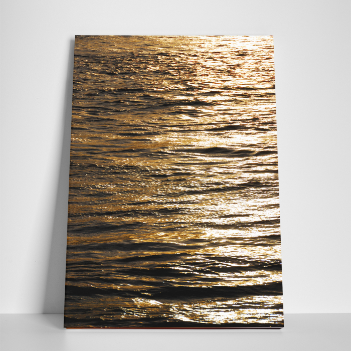 Tablou canvas natura, Brown Waters [3]