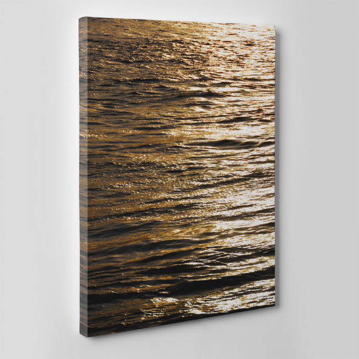 Tablou canvas natura, Brown Waters [2]