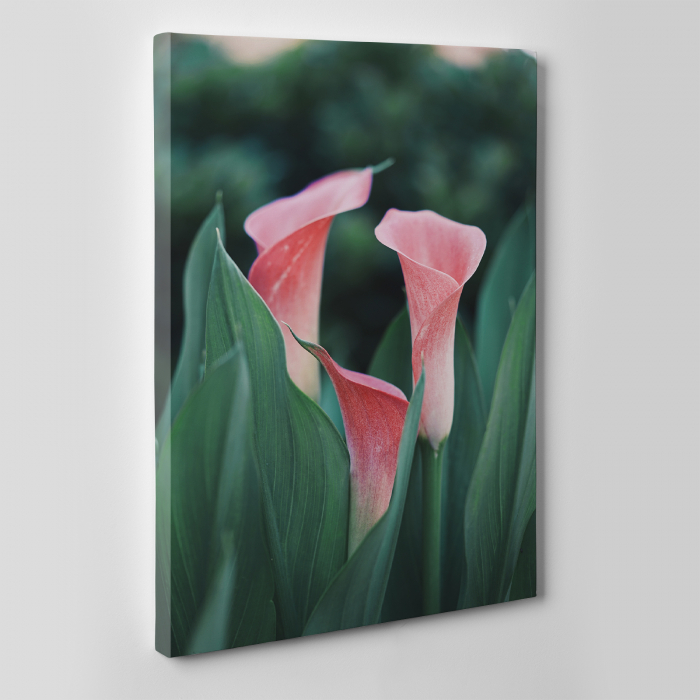 Tablou canvas natura, Buchet de flori [2]