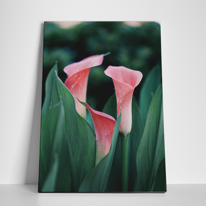 Tablou canvas natura, Buchet de flori [3]