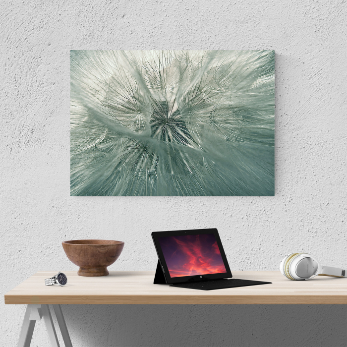 Tablou canvas natura, Papadie [4]