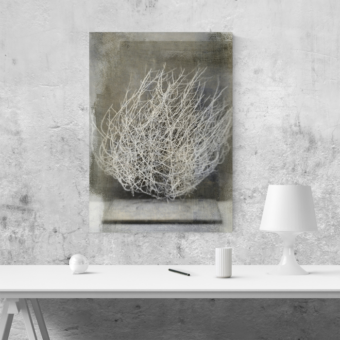 Tablou canvas natura, Desert Flower [4]