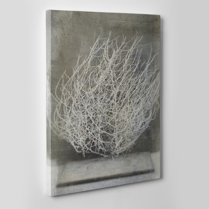 Tablou canvas natura, Desert Flower [2]