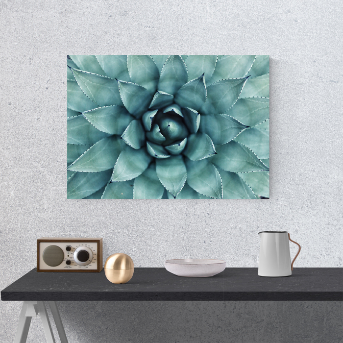 Tablou canvas natura, Floare de cactus [4]