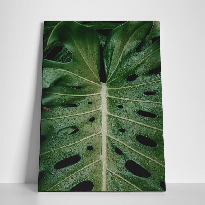 Tablou canvas natura, Frunza in ploaie [3]