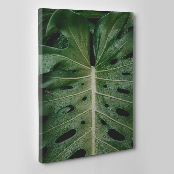 Tablou canvas natura, Frunza in ploaie [2]