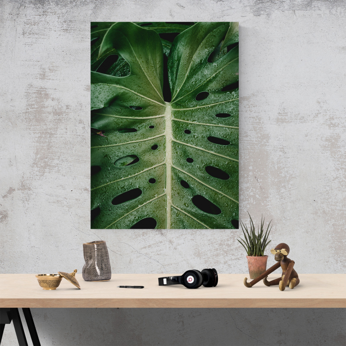 Tablou canvas natura, Frunza in ploaie [4]