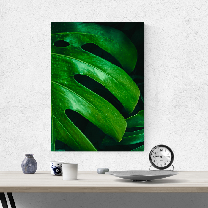 Tablou canvas natura, Frunza verde de Philodendron [4]
