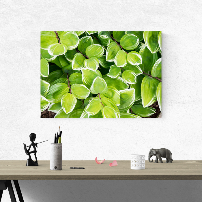Tablou canvas natura, Frunze... tropicale [4]