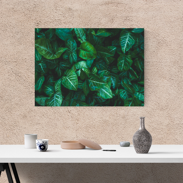 Tablou canvas natura, Frunze verzi [4]
