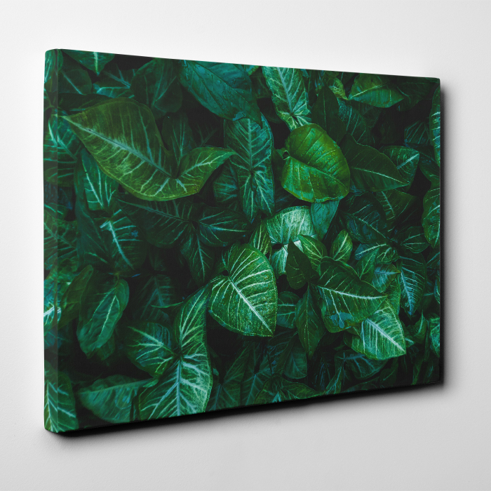 Tablou canvas natura, Frunze verzi [2]