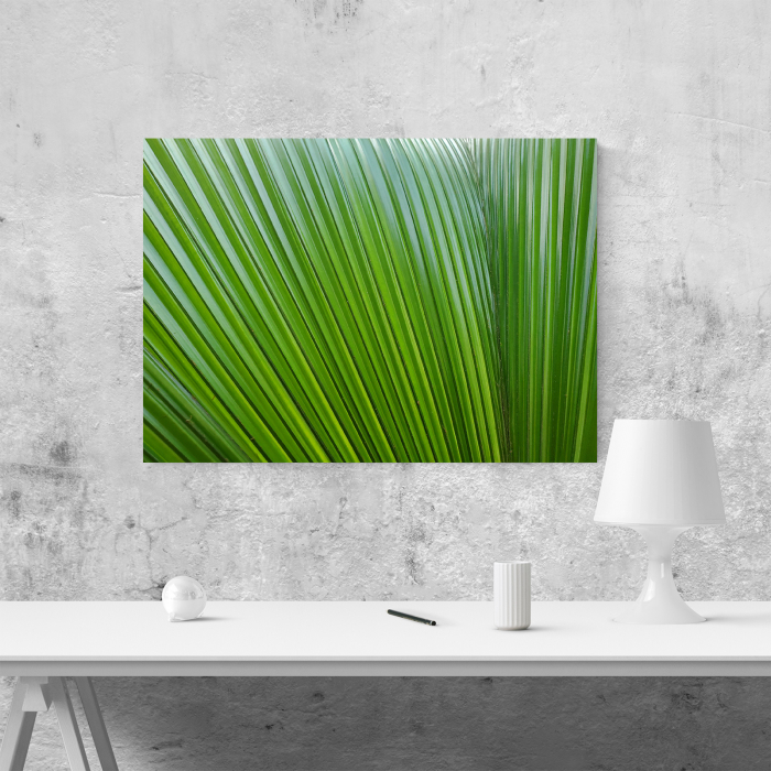Tablou canvas natura, Frunze verzi... liniare [4]