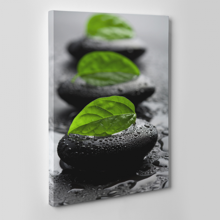 Tablou canvas natura, Green Leafs on Rocks [2]