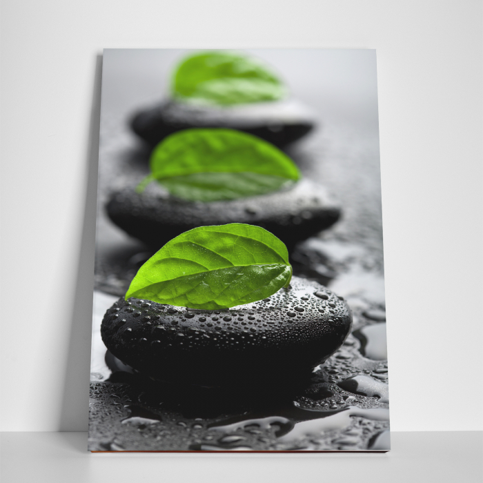 Tablou canvas natura, Green Leafs on Rocks [3]