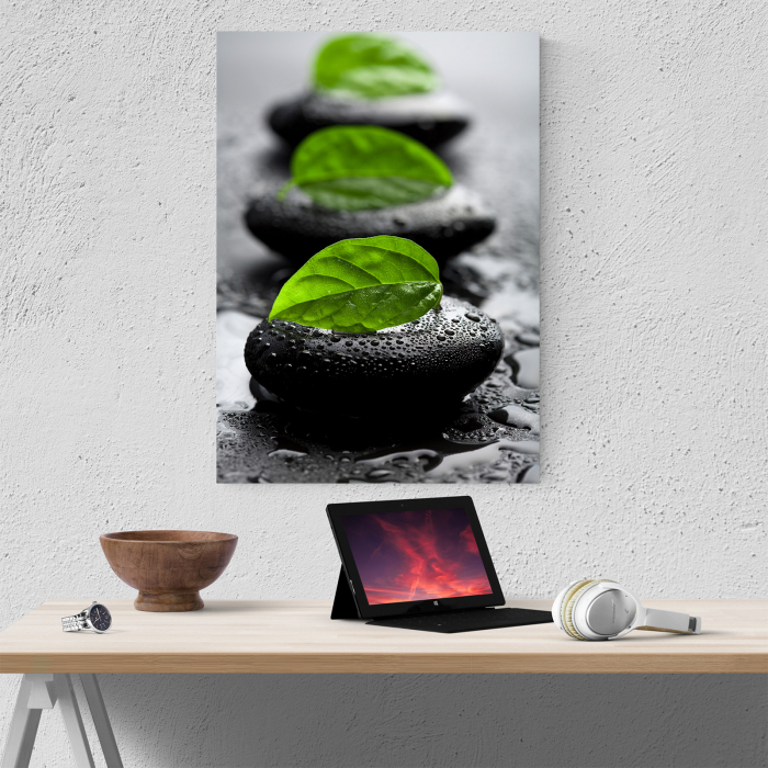 Tablou canvas natura, Green Leafs on Rocks [4]