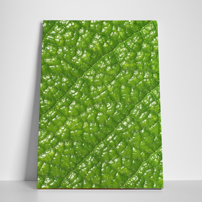 Tablou canvas natura, Green Skin [3]
