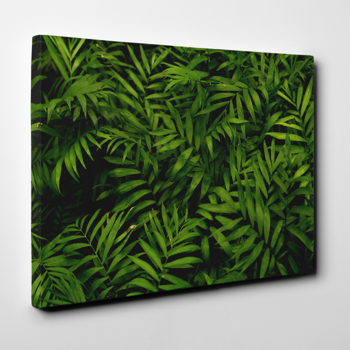 Tablou canvas natura, O multime de frunze [2]