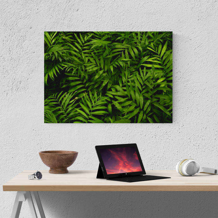 Tablou canvas natura, O multime de frunze [4]