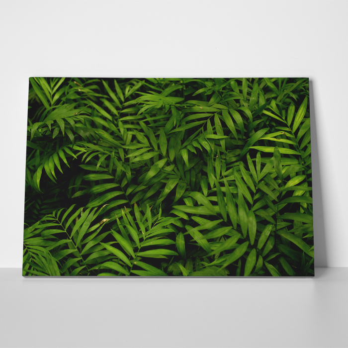 Tablou canvas natura, O multime de frunze [3]