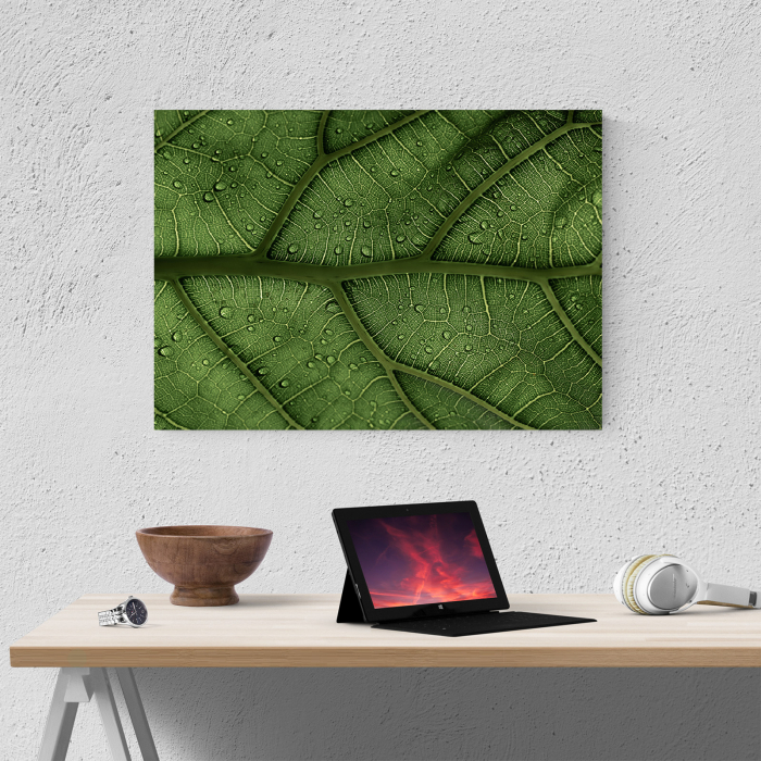 Tablou canvas natura, Striatii frunza [4]