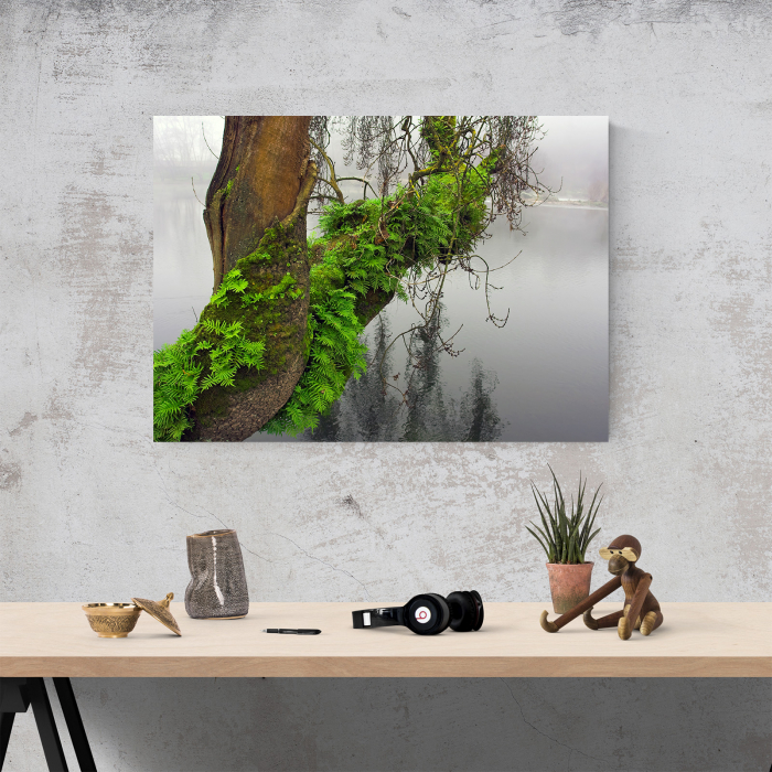 Tablou canvas natura, Strong Green [4]