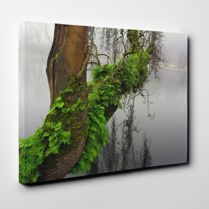 Tablou canvas natura, Strong Green [2]