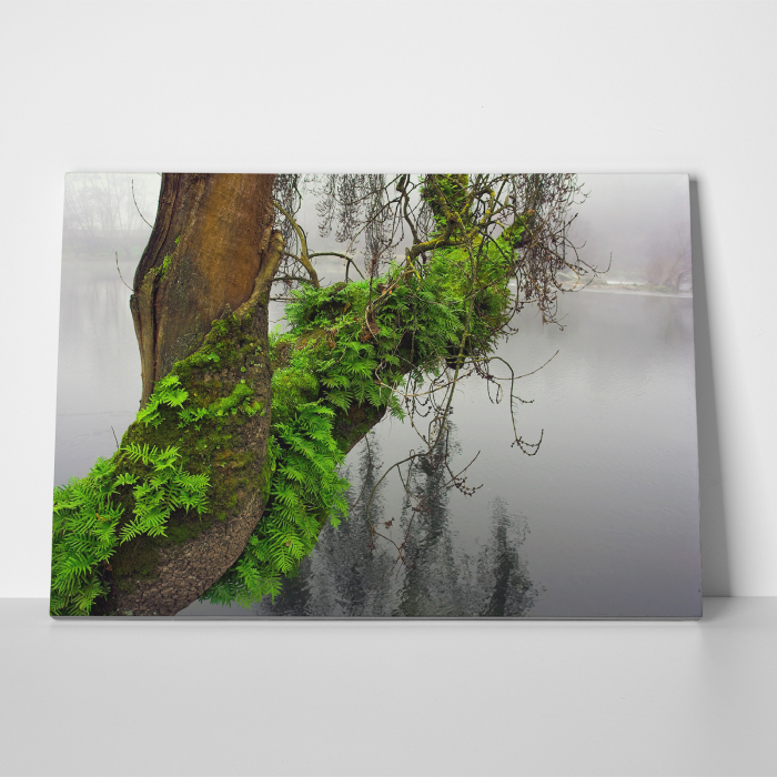 Tablou canvas natura, Strong Green [3]