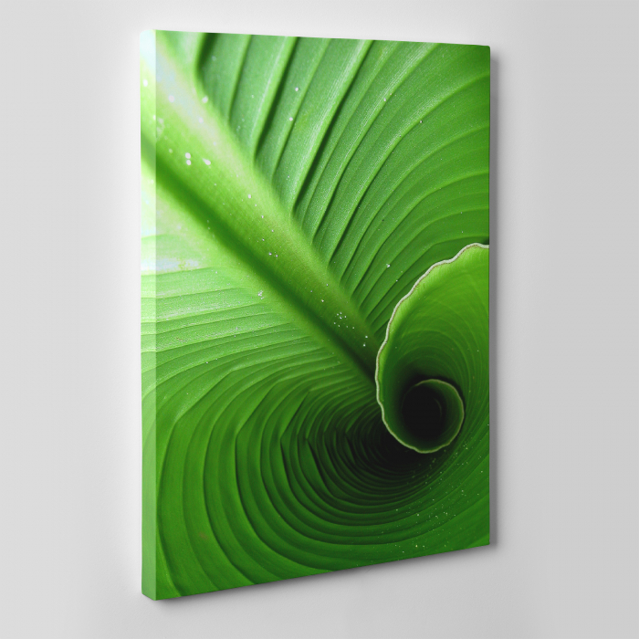 Tablou canvas natura, Swirl Leaf [2]