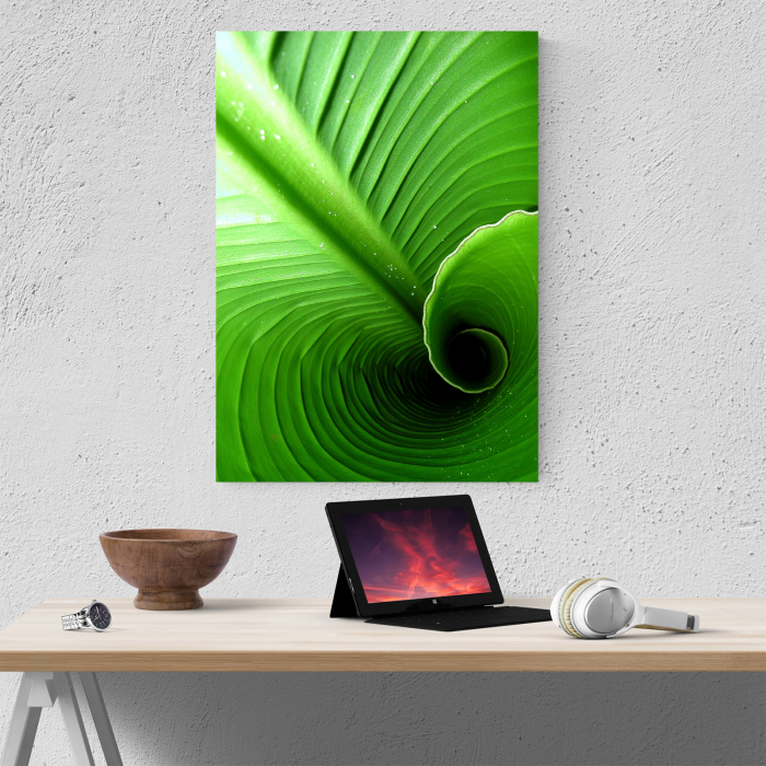 Tablou canvas natura, Swirl Leaf [4]