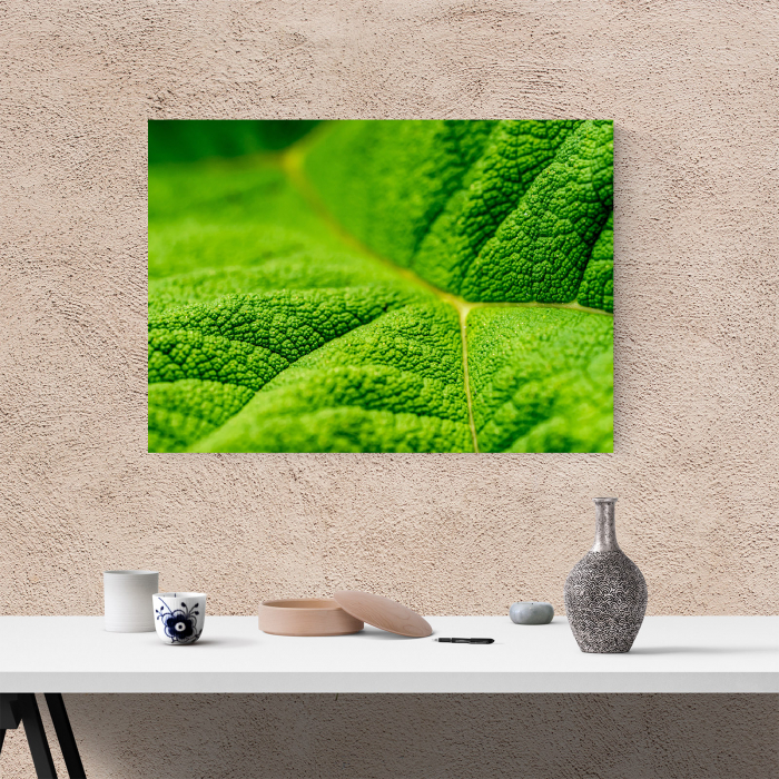 Tablou canvas natura, Textura unei frunze [4]